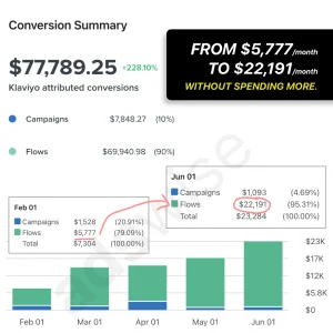 adswise - results - klaviyo - wisexpd - from $5k to $22k in 4 months